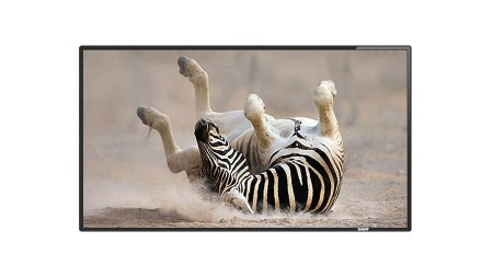 Alquiler : MONITORES